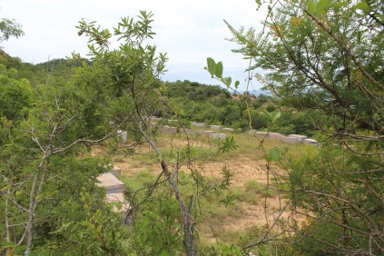 Closer view of stock yard below the African Lilac quarry