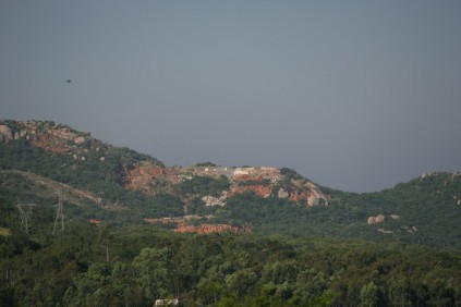 African Lilac quarry