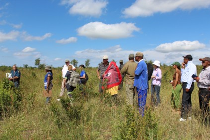 Portfolio Committee on Police on visit to Kruger National Park