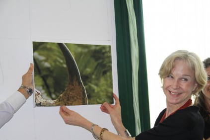 Susie Ellis, Director: International Rhino Foundation