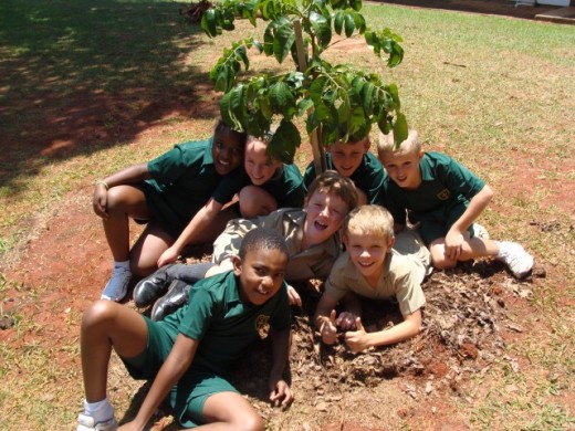 Grade 2's under the shade of an Ironwood tree at Uplands Preparatory School