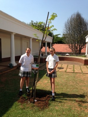 Kate Prior and Sara Archdeacon at the tree that they planted