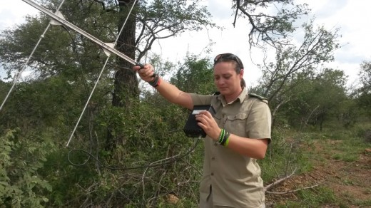 Amy Clark, Project Administrator for Transfrontier Africa