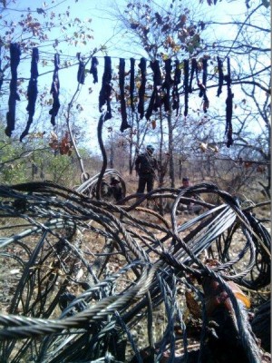A bush meat kitchen in Balule Nature Reserve, found by Black Mambas