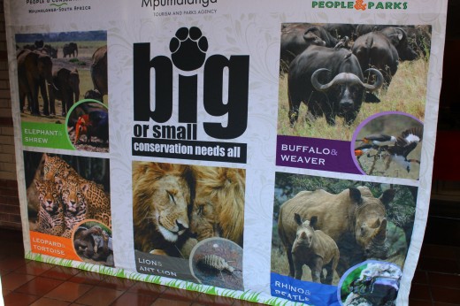 "Big or Small, Conservation needs all", campaign placard