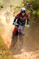 paul botha