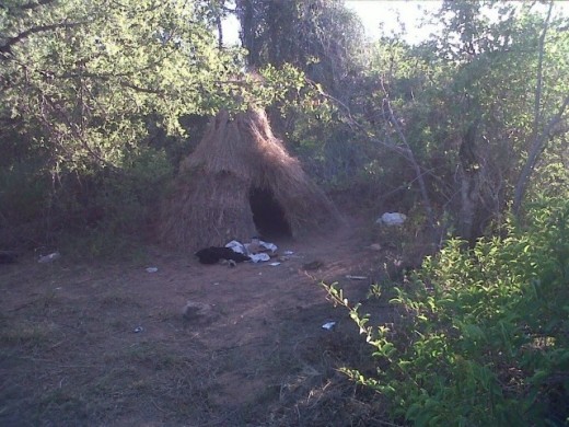 A poacher's hide-away in Balule, found by Black Mambas