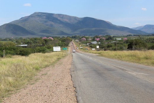 Watervalsriver Valley and Kapok trees