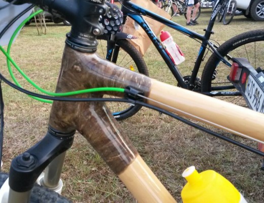 bamboo bike