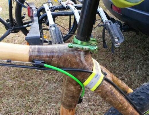 bamboo bike