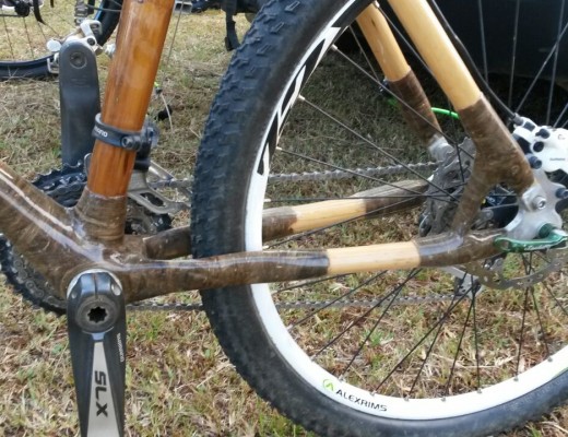 bamboo bike