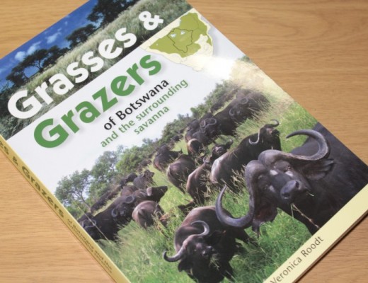 Win this full-colour guide to the grasses and grazers of Southern Africa.