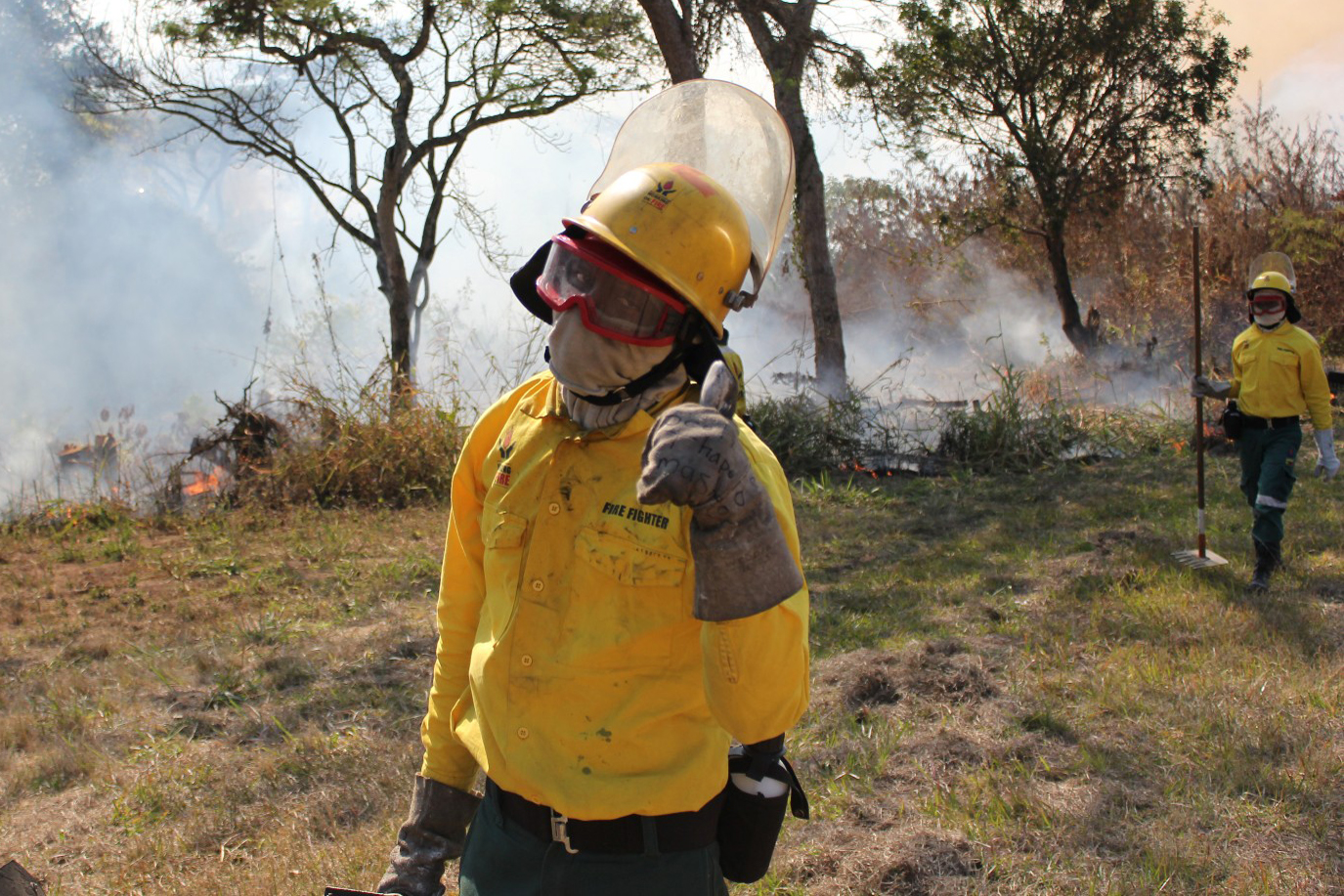 Working on Fire
