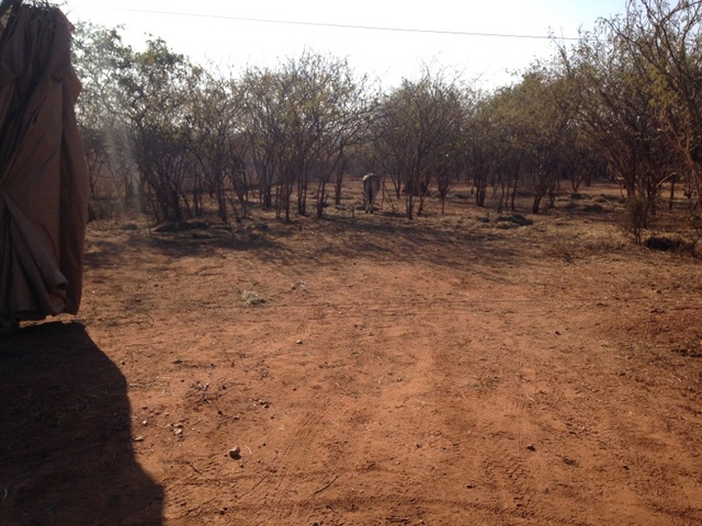 Marloth Park capture