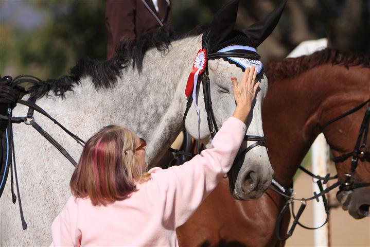 Nottinghill Equestrian Centre