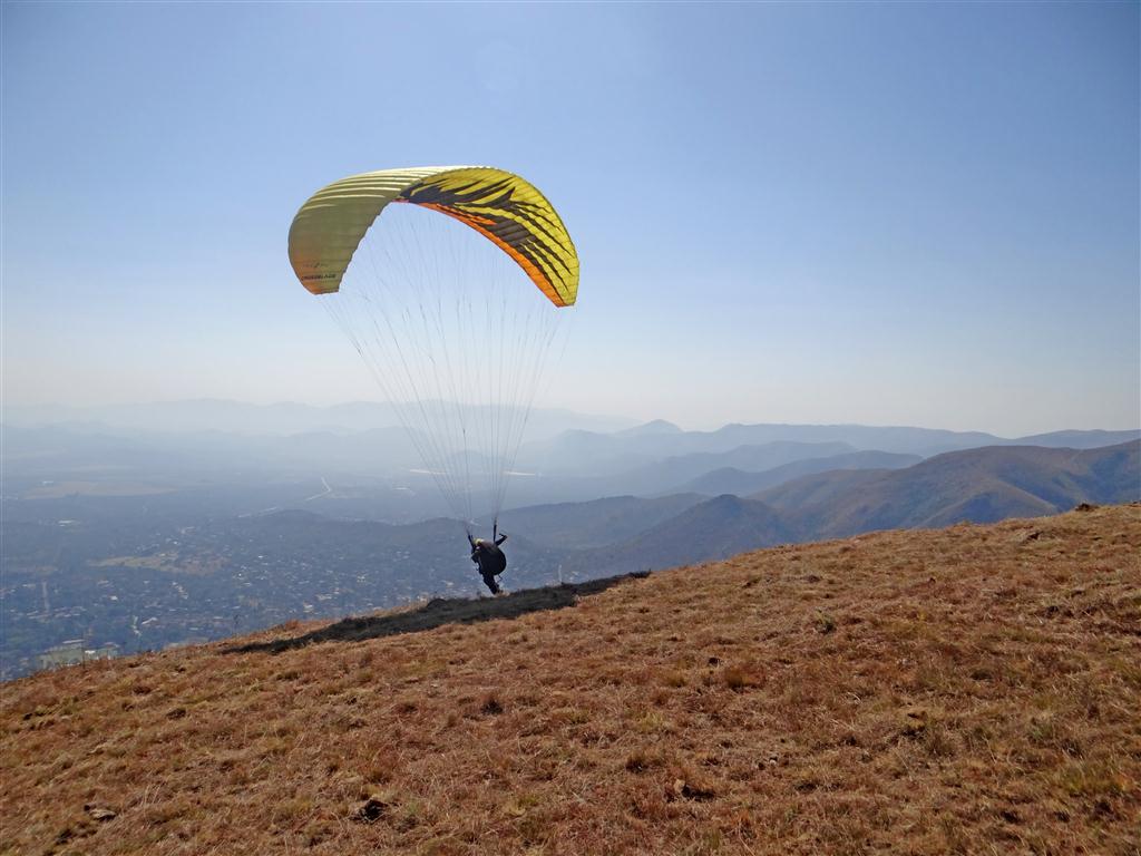 gliders