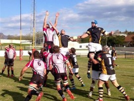 Steval Pumas