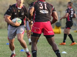 Steval Pumas