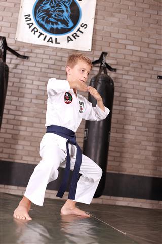 Martial Arts