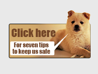 pets safety