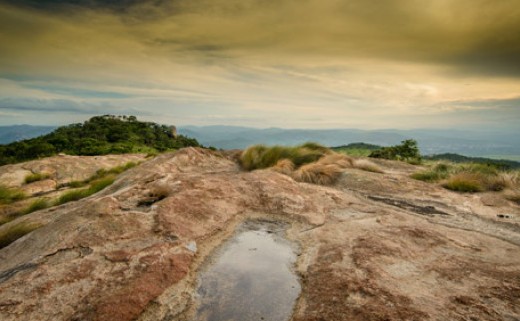Likweti is one of our region's loved venues. They have posted this lovely photo on likweti.co.za.
