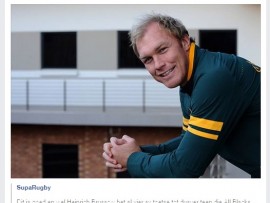 Springbokke