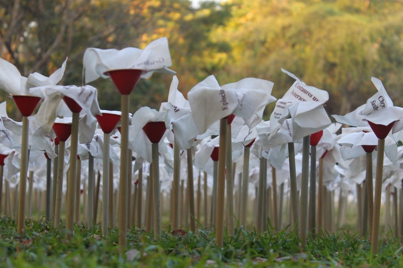 willem boshoff garden of words