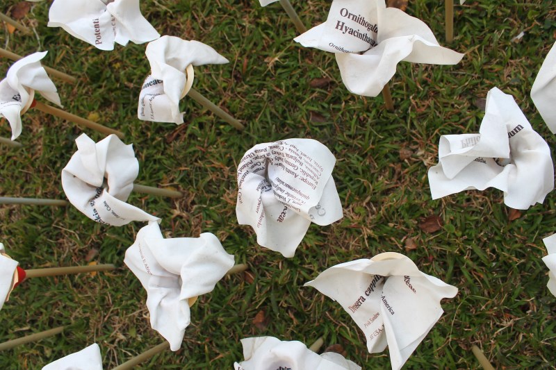 willem boshoff garden of words