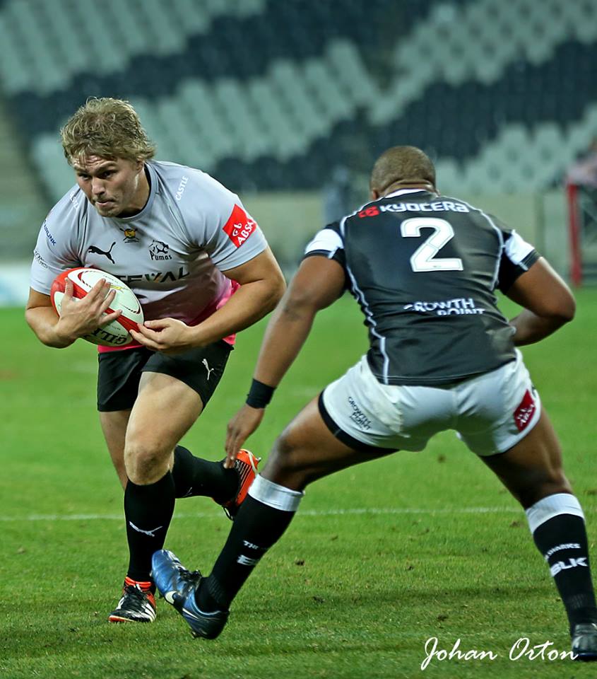 Steval Pumas