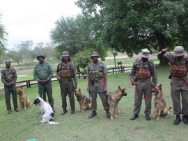 K9 anti-poaching unit KNP