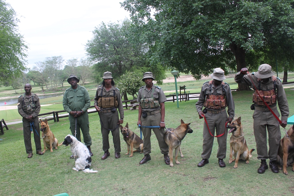 K9 anti-poaching unit KNP