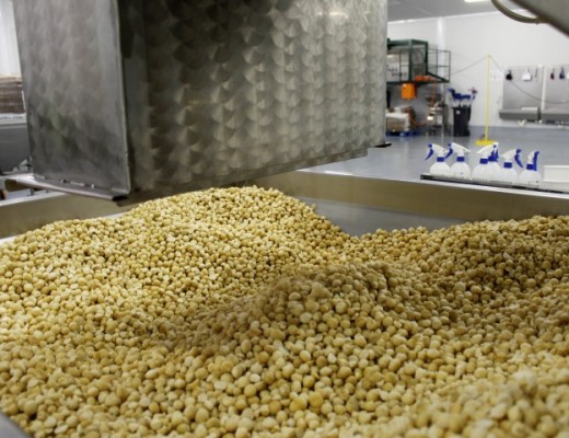 International Macadamia Sympohic 