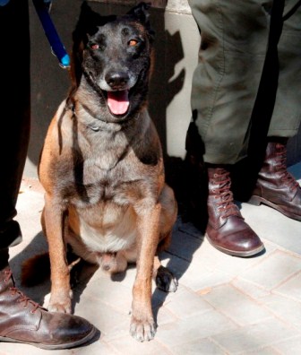 K9 anti-poaching unit KNP