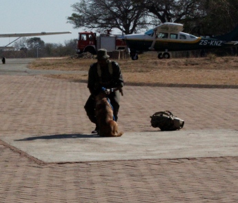 K9 anti-poaching unit KNP