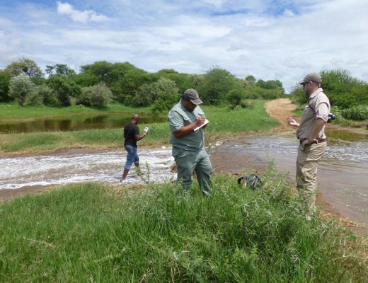 Pollution in Olifants River