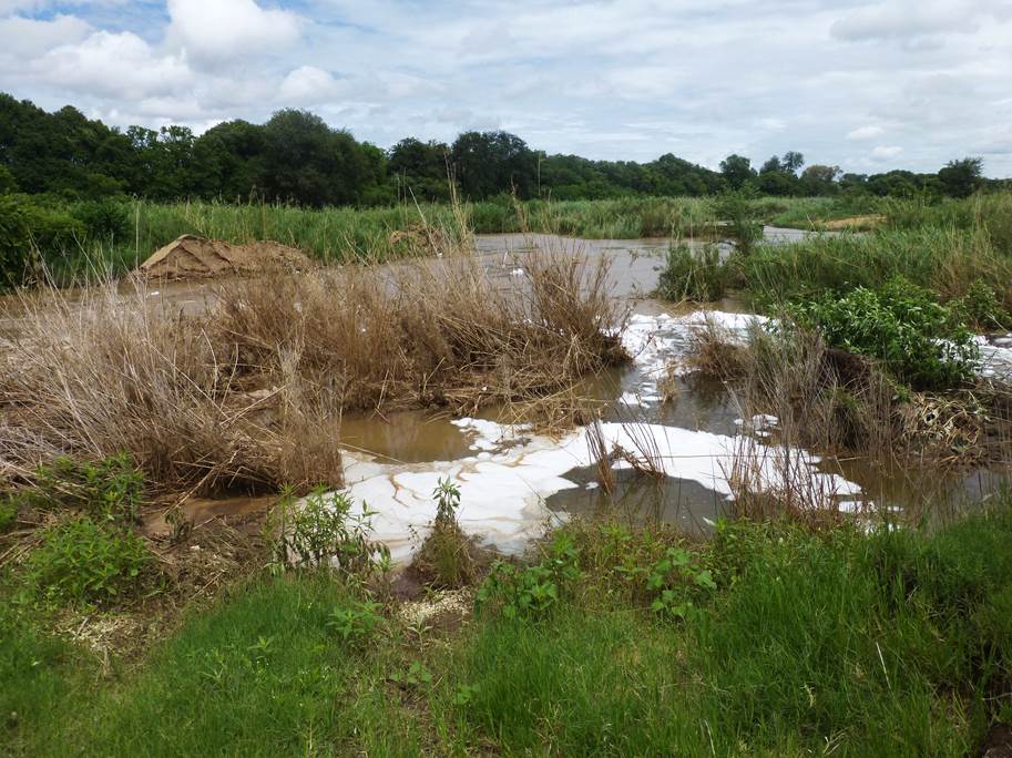 Pollution in Olifants River