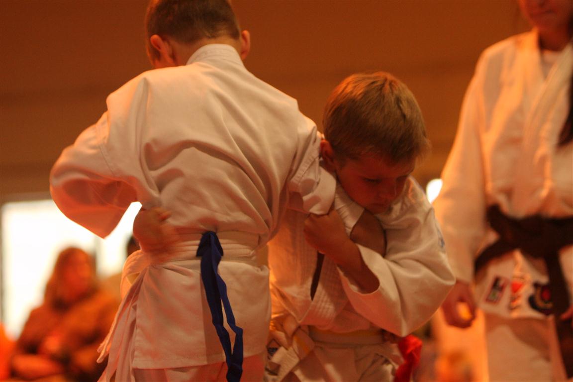 judo