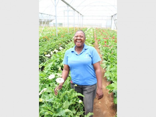Yellow gerberas are Ester Manyike's favourite.