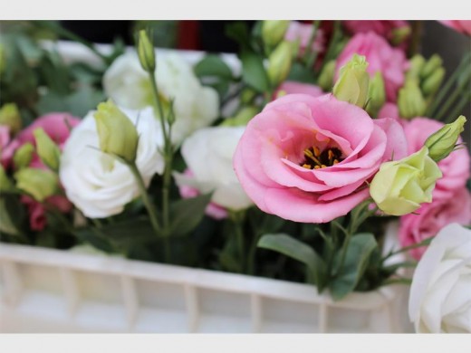 The women grow an array of flowers.