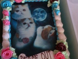 (Foto: dailymail.co.uk)