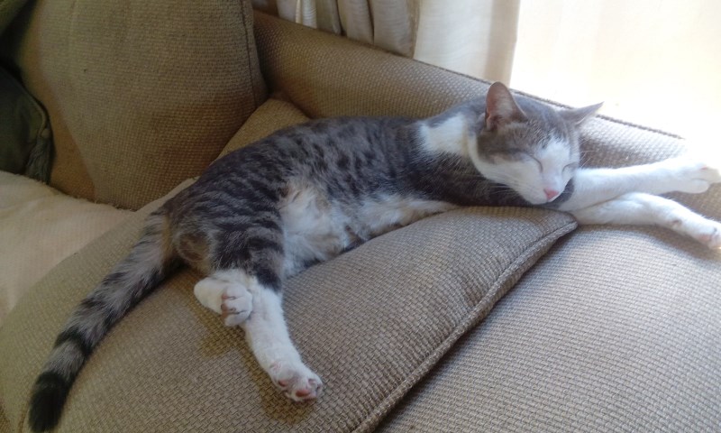 What stress of moving?