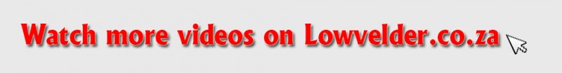 video bottom banner