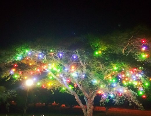 More lights at the place.