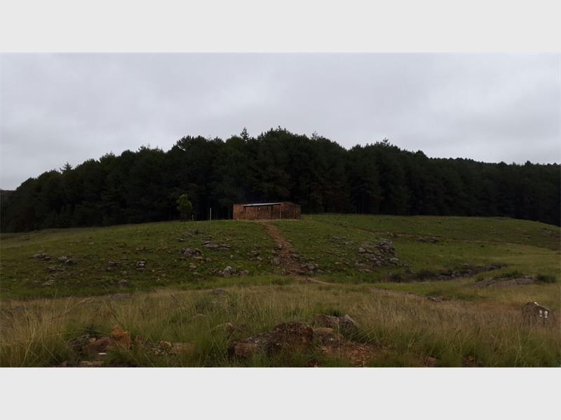 Die Lisabon Hut.