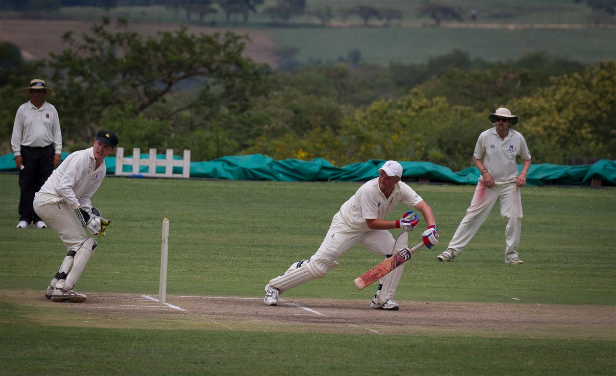 Potts 2015-9 (Medium)