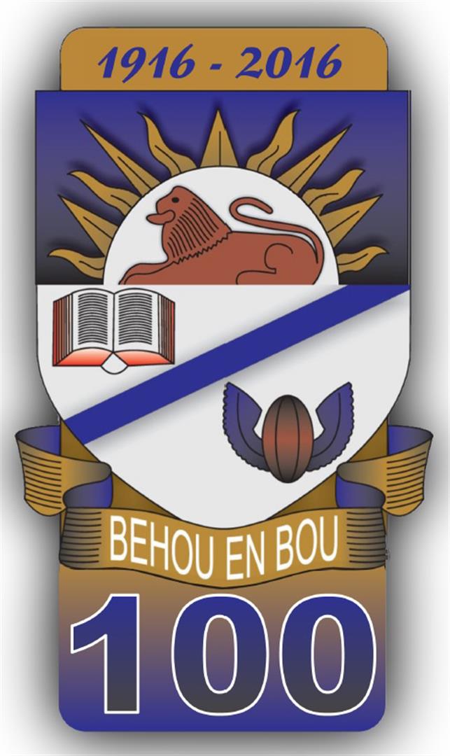 100 jaar logo - Nuutste Arrie Henn jpeg (Large)