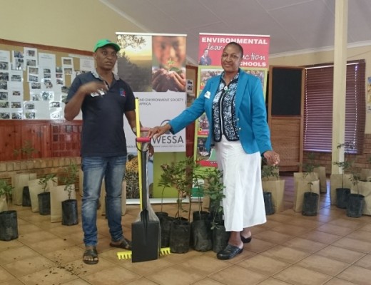 Wessa Trust and Nikiwe Nyundu