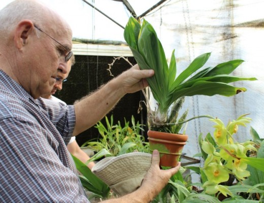 Stigter van Afri Orchids Christo Grobler deel nog steeds 'n aktiewe belangstelling in die orgideeplaas.
