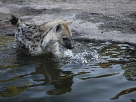 13055771_604981462990145_8554515885179518913_o