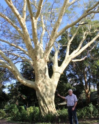 IMG_1394 (Small)